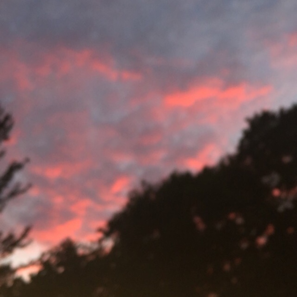 Meet your Posher, Ava